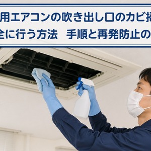 業務 用 エアコン 吹き出し 口 カビ 掃除